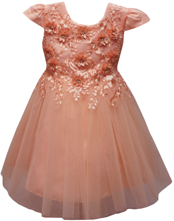 Girls Fancy Dress in Peach #0232351