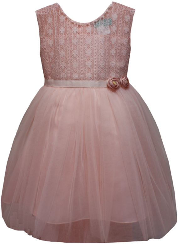 Girls Fancy Dress in Blush Pink #0232352