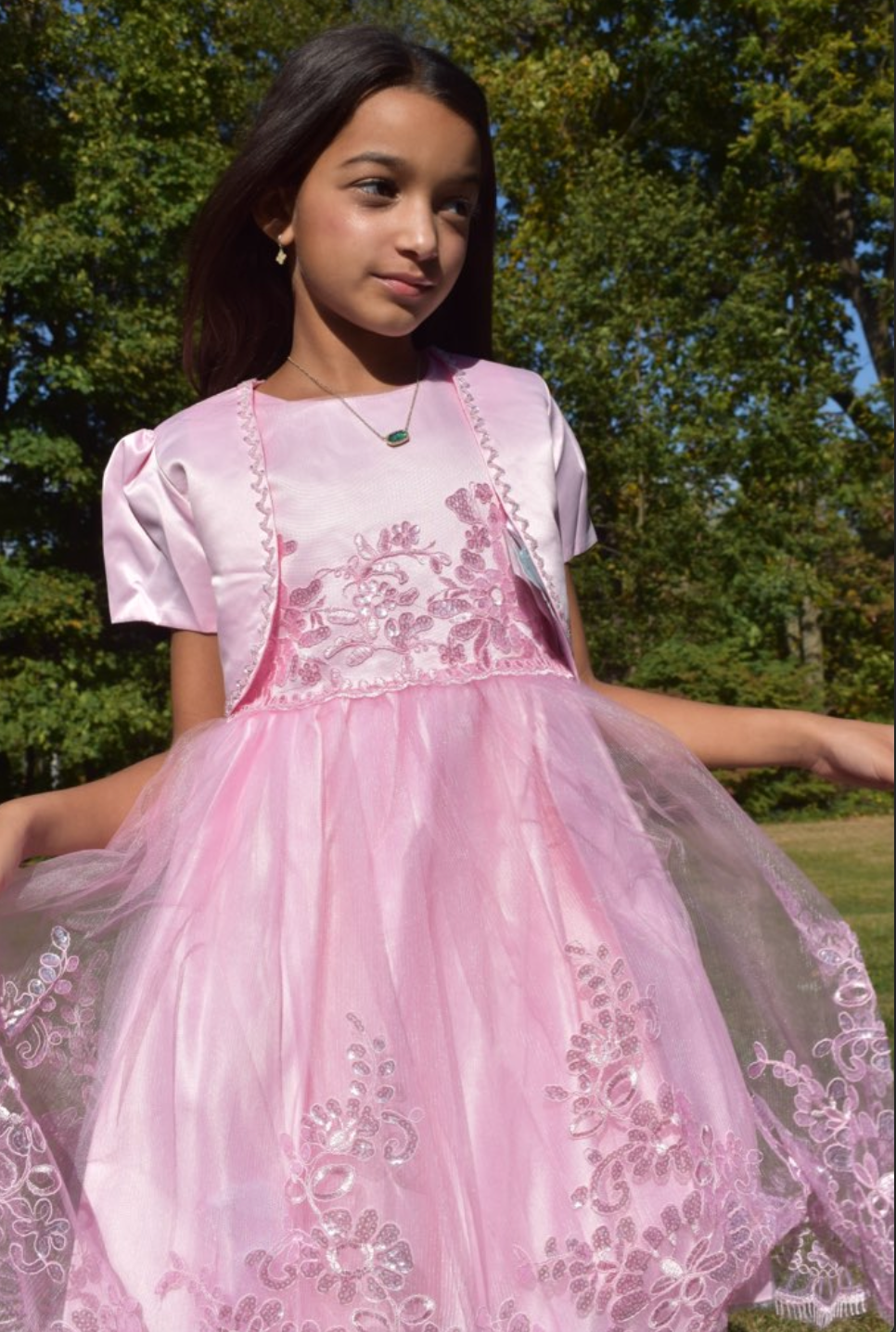 Girls Fancy Long Dress in Pink #0232366