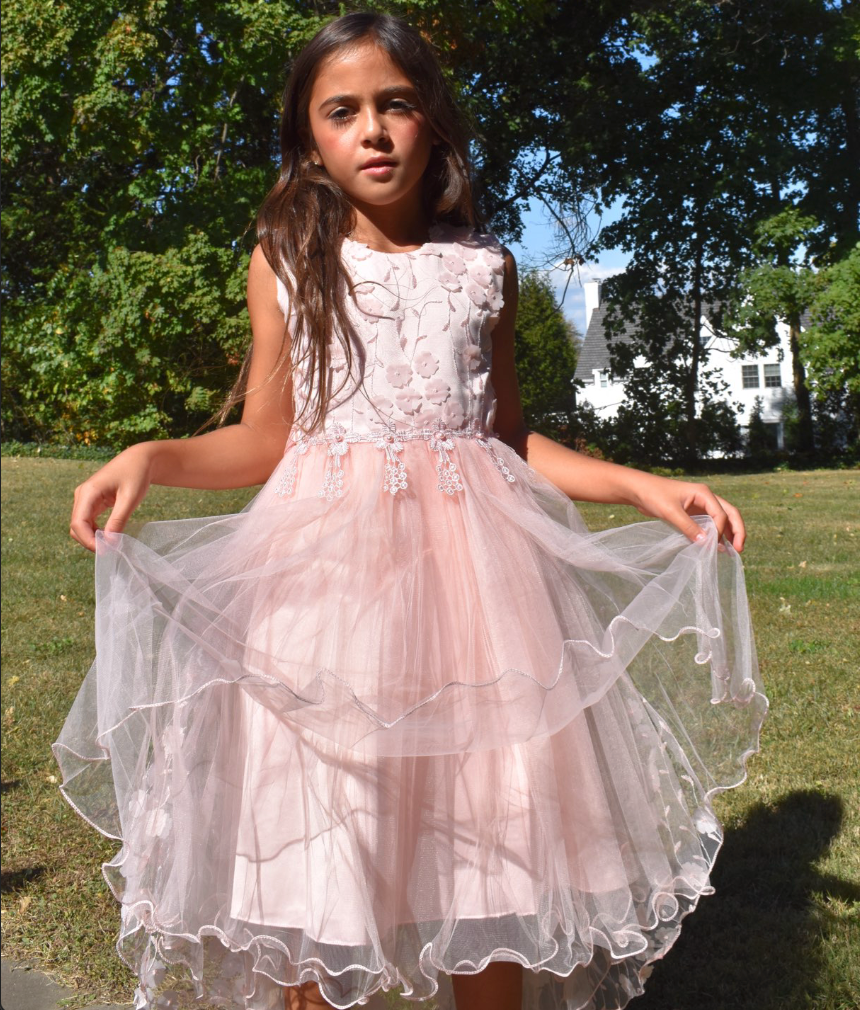 Girls Fancy Long Dress with Flower Detailing in Blush Pink #0232342