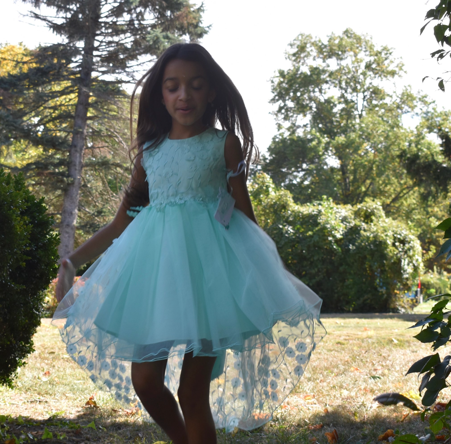 Girls Fancy Long Dress with Flower Detailing in Mint #0232342