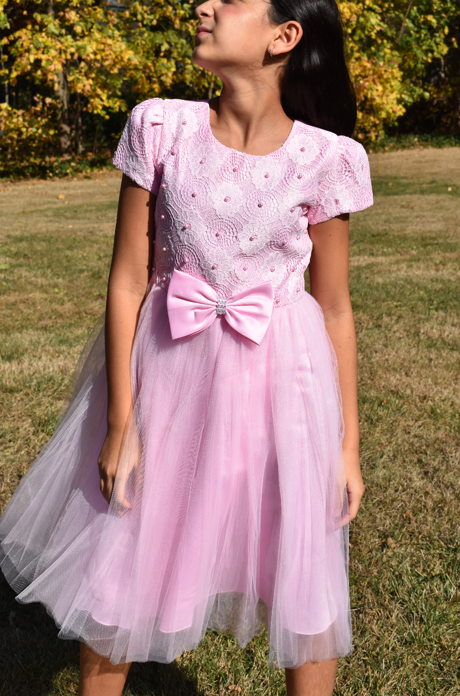 Girls Fancy Dress in Pink #0232301